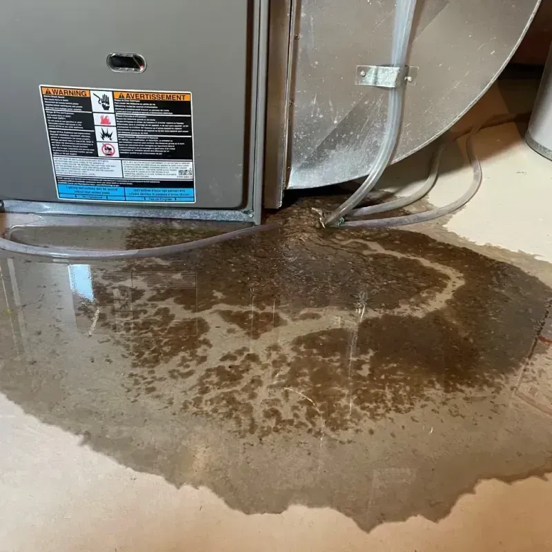 Appliance Leak Cleanup in Baldwin, GA